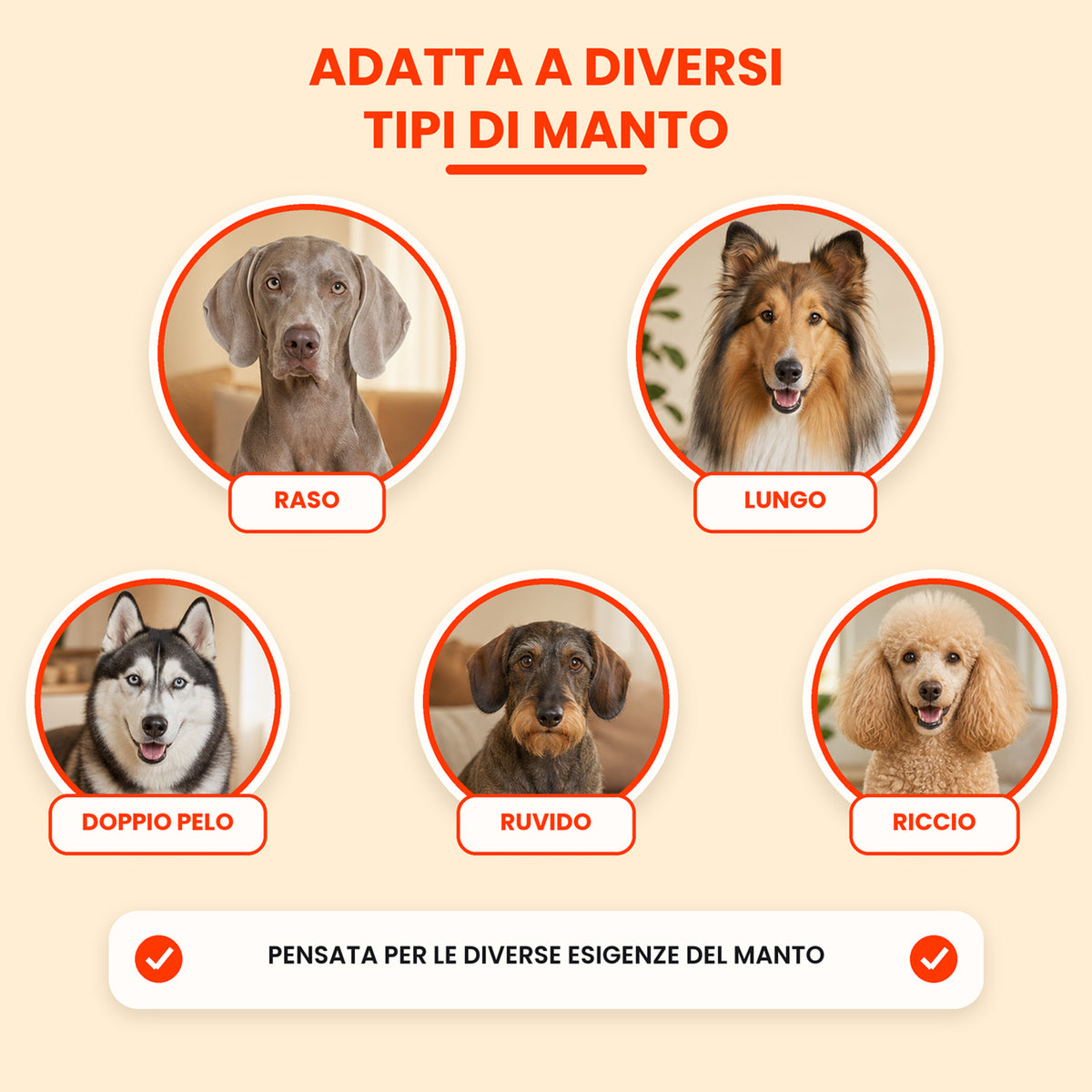 Pawly SoftGroom – Spazzola Districante per Cani e Gatti