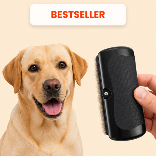 Pawly SoftGroom – Spazzola Districante per Cani e Gatti