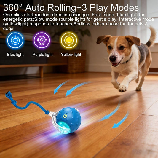 Pawly PlayBall  Palla Interattiva per Cani e Gatti
