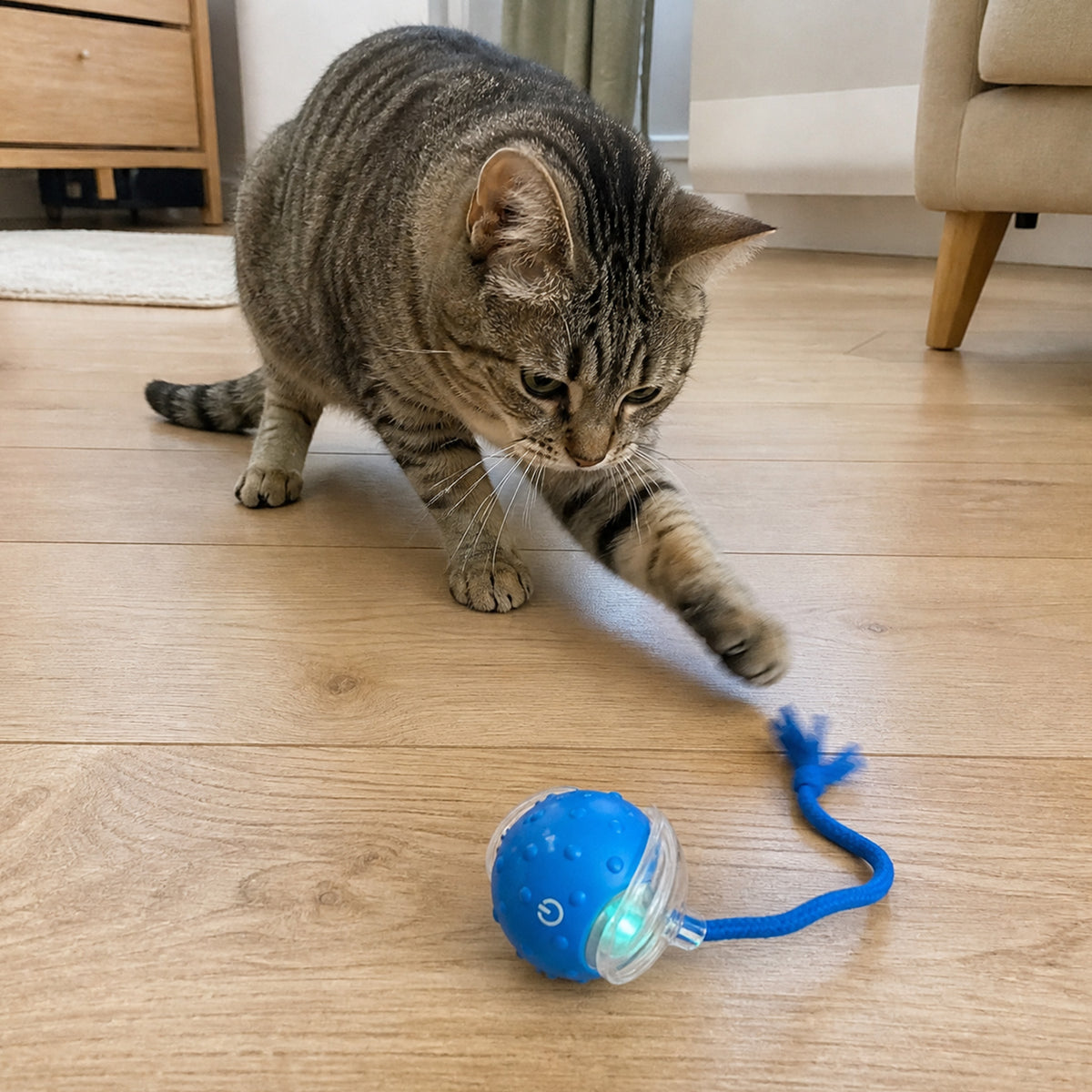 Pawly PlayBall  Palla Interattiva per Cani e Gatti